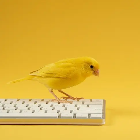 bird on keyboard